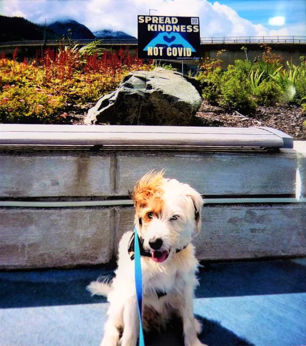 /images/uploads/juneau animal rescue/alaskapets2020/entries/14958thumb.jpg